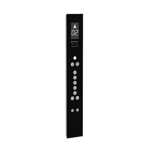 ZOPB009